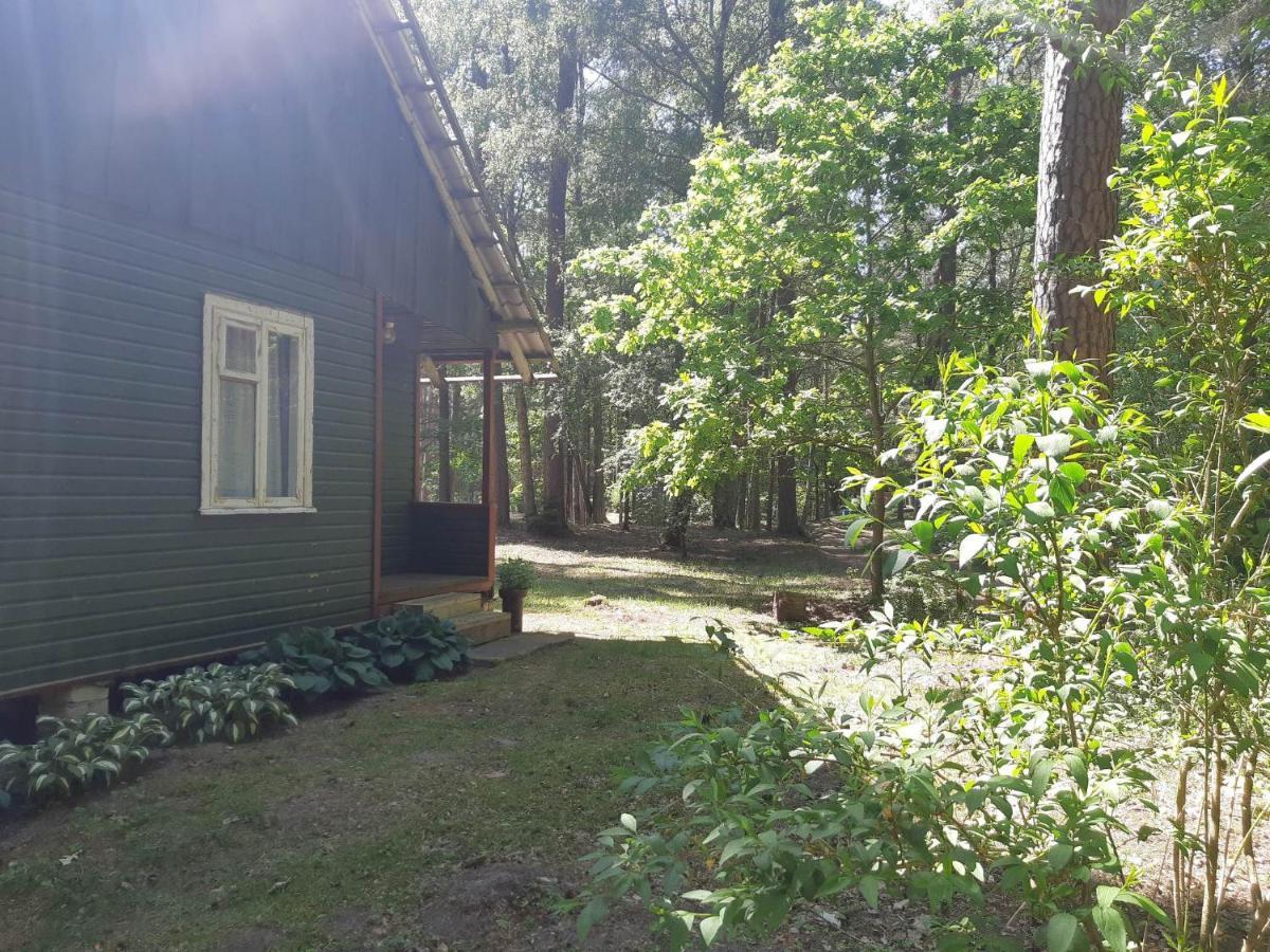 Asmonu Poilsiaviete Kinty Exterior foto